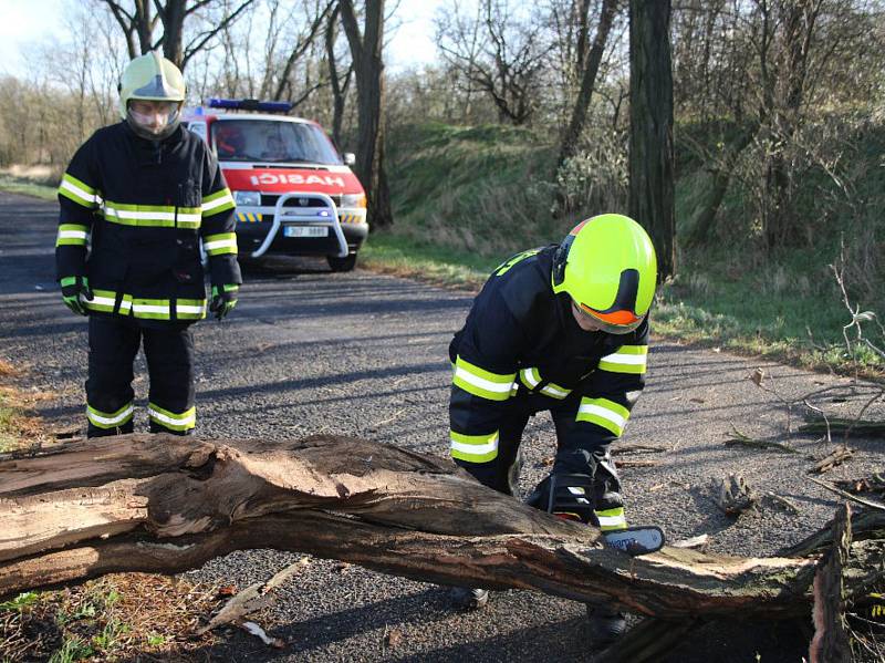 Několik stromů museli ze silnic odstraňovat také postoloprtští hasiči.