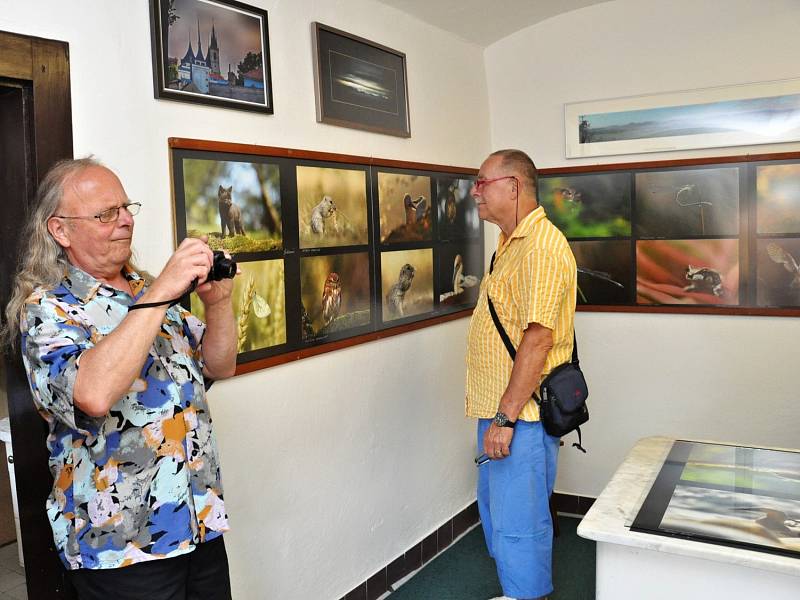 Výstava Dagmar Stříbrné a Václavy Felixové v Galerii U Plazíka