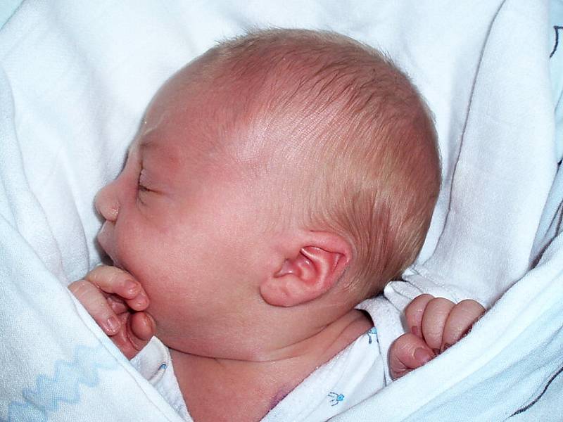 Andree Krupičkové a Aleši Trkalovi z Cítolib se 5. září 2012 narodil v porodnici ve Slaném syn Aleš Trkal. Váha 3,18 kg, míra 50 cm.