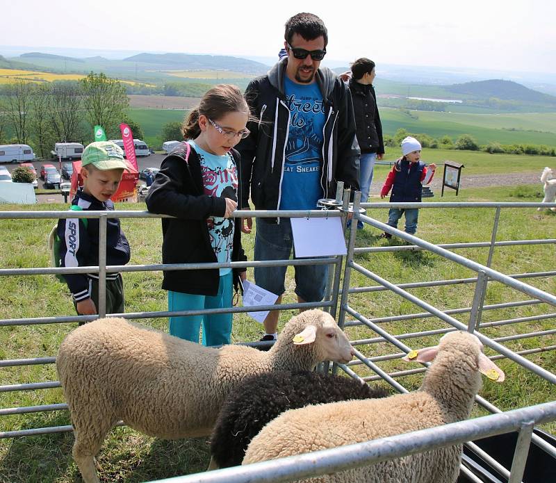 Na Rané si lidé mohli prohlédnout různá plemena ovcí i koz