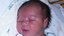 Syn Petr Berta se narodil Marii Bertové ze Žatce 6. srpna  ve 20.45 hodin. Váha 3,74 kg, míra 50 cm.