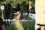 V obci Lipno havaroval malý letoun. Jeden člověk na místě zahynul