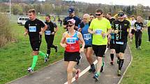 Šestý ročník Žateckého půlmaratonu a desítky. Trasa opět zavedla běžce do přírody podél Ohře.