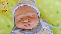 Vojtěch Cibulka se narodil v kadaňské porodnici 17. srpna 2016 v 9.57 hodin rodičům Lucii a Davidovi Cibulkovým ze Žatce. Vážil 3890 g  a měřil 52 cm.
