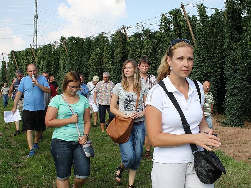 Účastníci pátečního setkání ve Stekníku si prohlížejí chmelnice. 