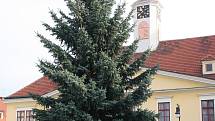 Vánoční strom v Lounech pro rok 2014
