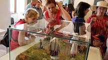 V lounském muzeu začala výstava, která přibližuje starší dobu bronzovou. Vůbec poprvé si veřejnost může prohlédnout líšťanský poklad.