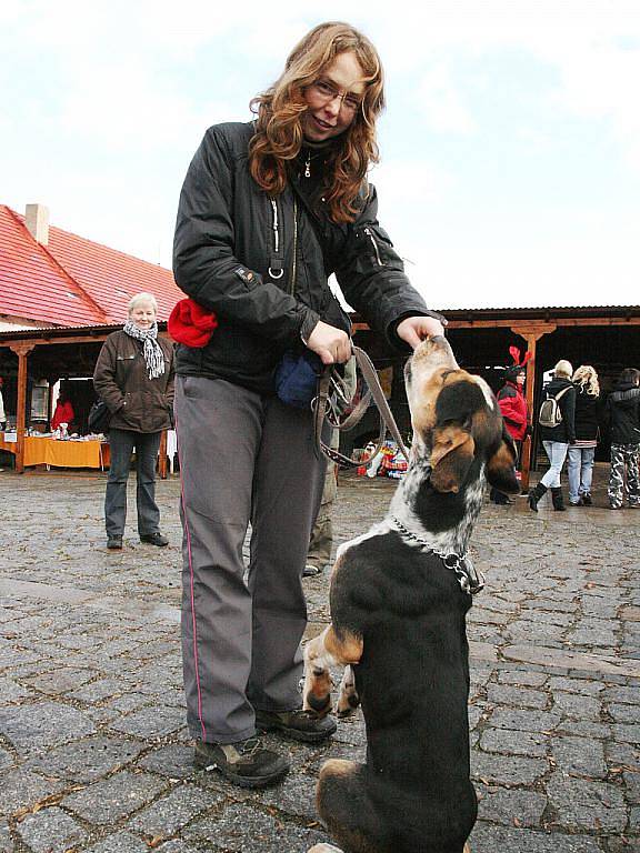 Dobrovolnice Jitka Kržová ukazuje, jak jsou pejsi za pamlsky učenliví.