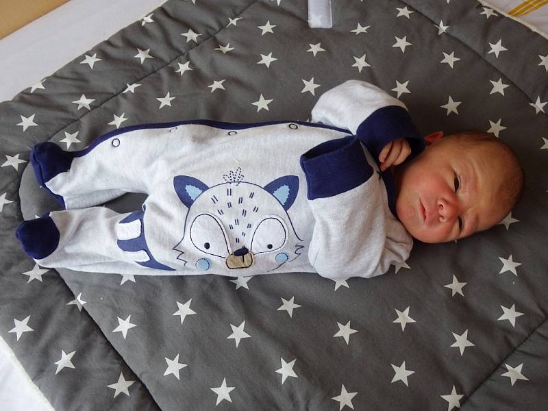 Kryštof Novotný se narodil 4. února 2017 ve 14.17 hodin rodičům Karolíně Trupové a Jakubovi Novotnému z Loun. Vážil 3350 gramů a měřil 52 centimetrů.