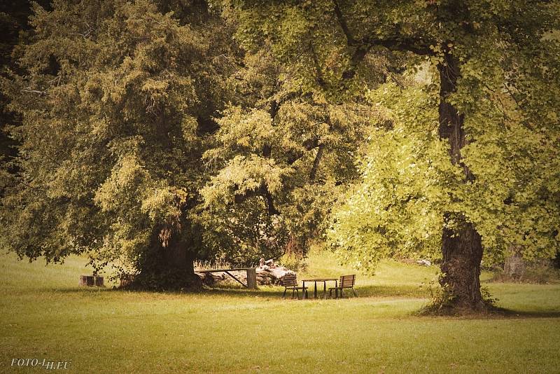 Ve Valči je celoročně přístupný park, návštěvníci si mohou prohlédnout Lapidárium soch Matyáše Bernarda Brauna a zámecké interiéry.