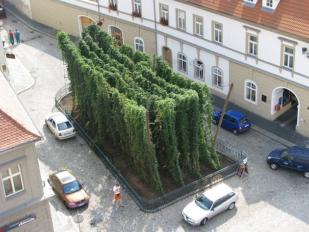 Nejmenší chmelničku na světě najdou lidé v Žatci na náměstí Svobody, přímo vedle radnice