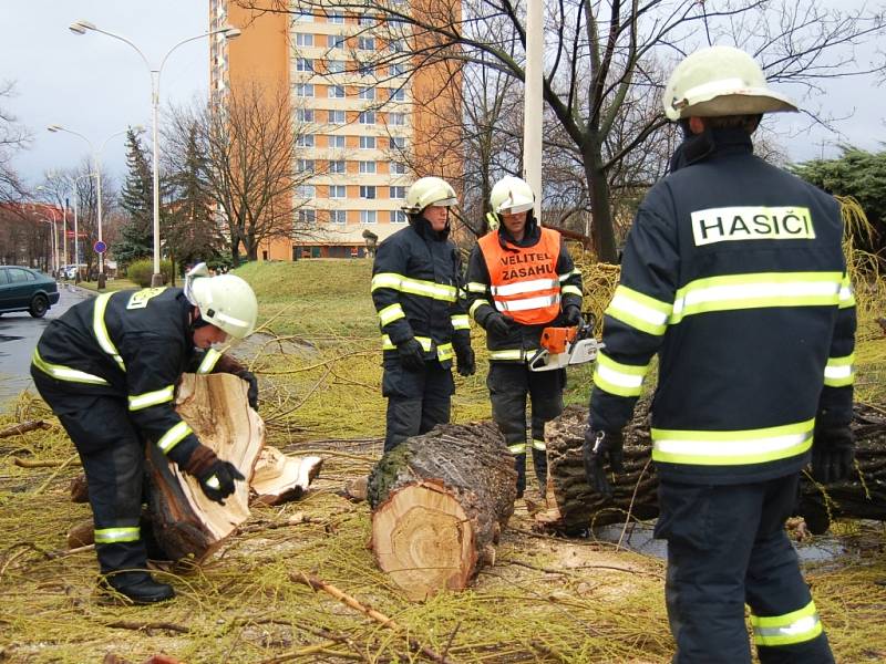 Hasiči odstraňují vzrostlou vrbu, kterou v sobotu ráno srazila silná vichřice.