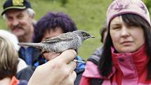 Ornitologové pochytali a ukázali některé zpěvné ptáky, kteří v lokalitě žijí