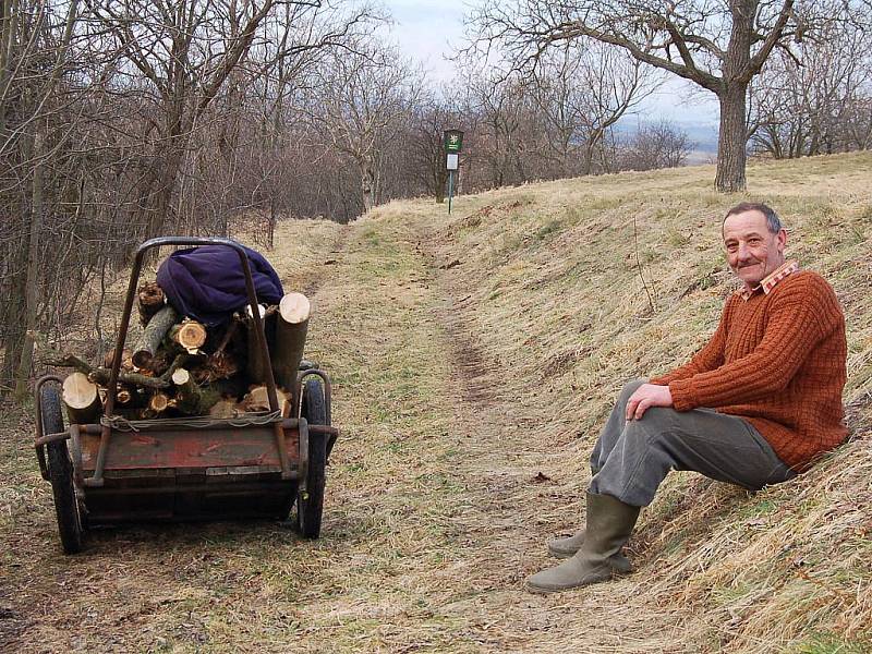 Jiří Pengert odváží větve z pokácených stromů.