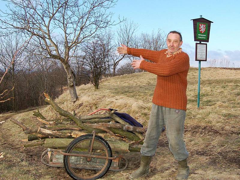 Jiří Pengert odváží větve z pokácených stromů.