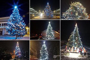 Hledáme nejkrásnější vánoční strom okresu Louny