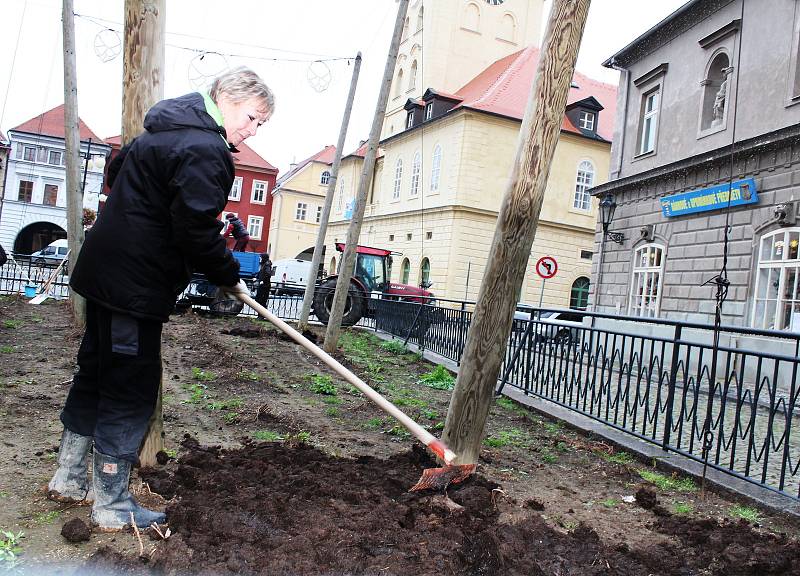 Lepší podmínky k růstu bude mít chmel na nejmenší chmelničce na světě, která je na žateckém náměstí. Pracovníci Chmelařského institutu, který se o ni stará, totiž chmelničku pohnojili.