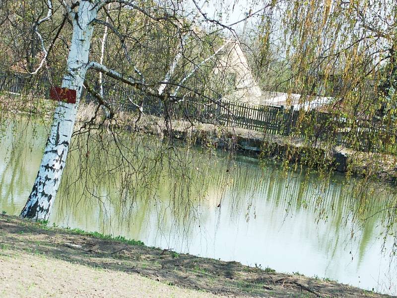 Psovod a jeho speciálně vycvičený parťák hledali ženu v okolí slavětínského rybníka