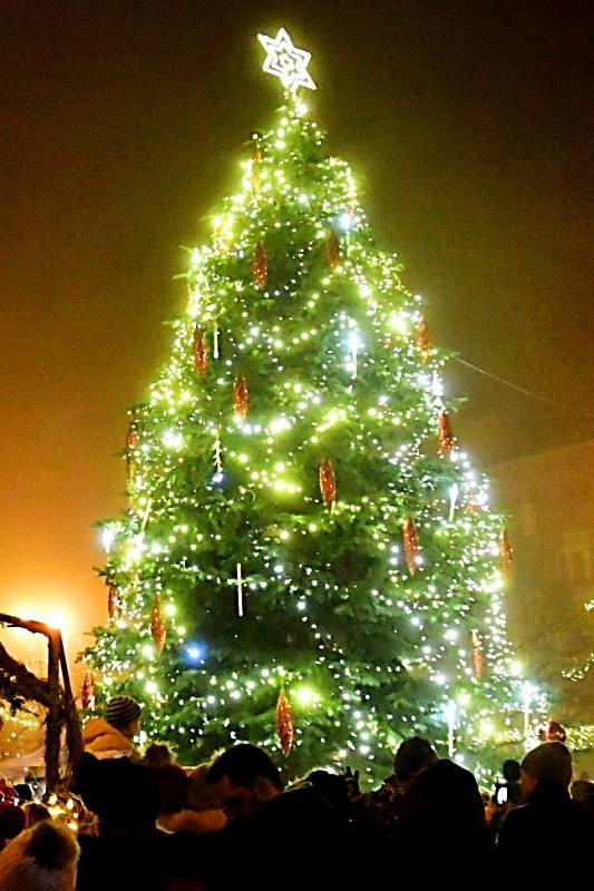 Vánoční strom v Lounech