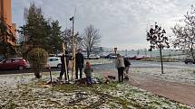 V Žatci proběhla výsadba nových stromů. V Lipové ulici vysázeli dobrovolníci lípy, v Javorové javory.