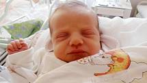 Rodičům Martě a Petrovi Horovým z Loun se ve slánské porodnici  13. září 2015 narodila dcera Amálie Horová. Váha 2,6 kg, míra 50 cm.   