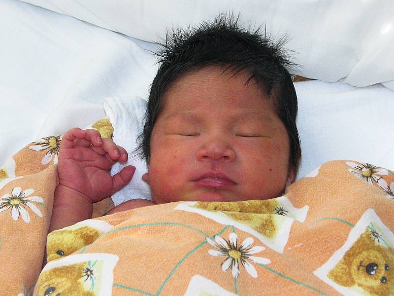 Mamince Nguyen Thi Bhu z Jimlína se 13. září 2012 narodil klučina Tran Phi Hung. Vážil 3410 gramů a měřil 51 centimetrů.