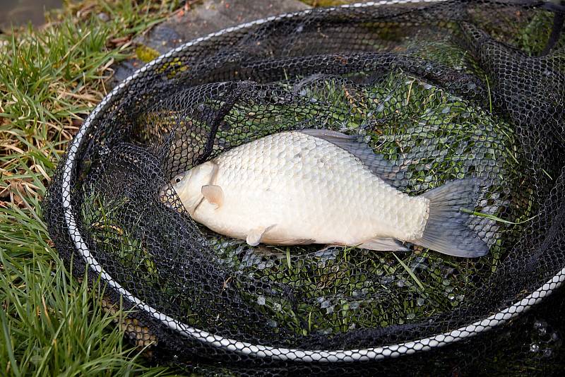 Účastníci rybářských závodů v Podbořanech z řad dobrovolných hasičů mezi sebou vybrali 34 tisíc korun na pomoc rodině Vojtíška z Vroutku.