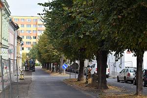 Stromořadí v Jeronýmově ulici v Lounech má padnout kvůli kanalizaci a vodovodu. Archivní foto.