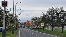 V Žatci chtějí zpomalit auta v ulici Volyňských Čechů. Informační radar na některé řidiče moc nezabírá, zvažuje se do prostoru přechodu pro chodce umístění zpomalovacího semaforu. A pro nákladní auta by v ulici platila maximální třicítka.