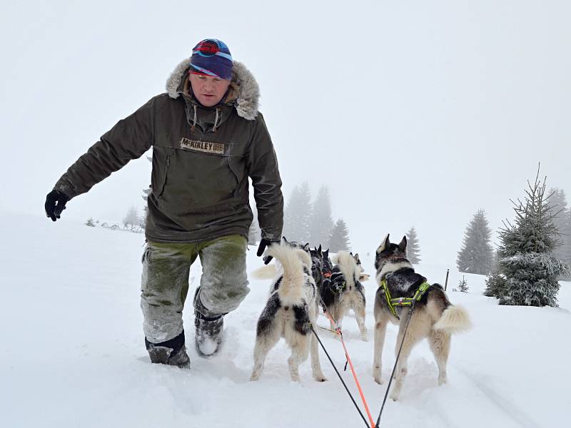 Musher Roman Habásko vyráží trénovat se svým psím spřežením do Krušných hor