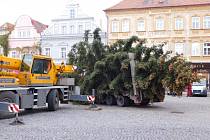 Přeprava vánočních stromů zkomplikuje dopravu v Žatci.