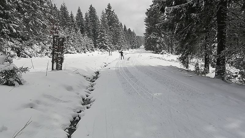 Do Krušných hor se po sněhové nadílce vrátili běžkaři.