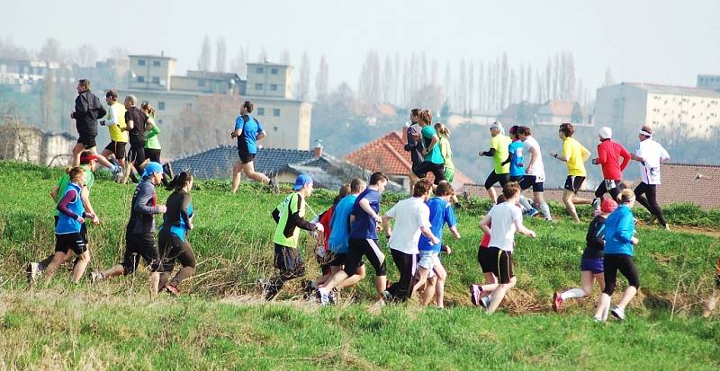 Žatecký půlmaraton 2013