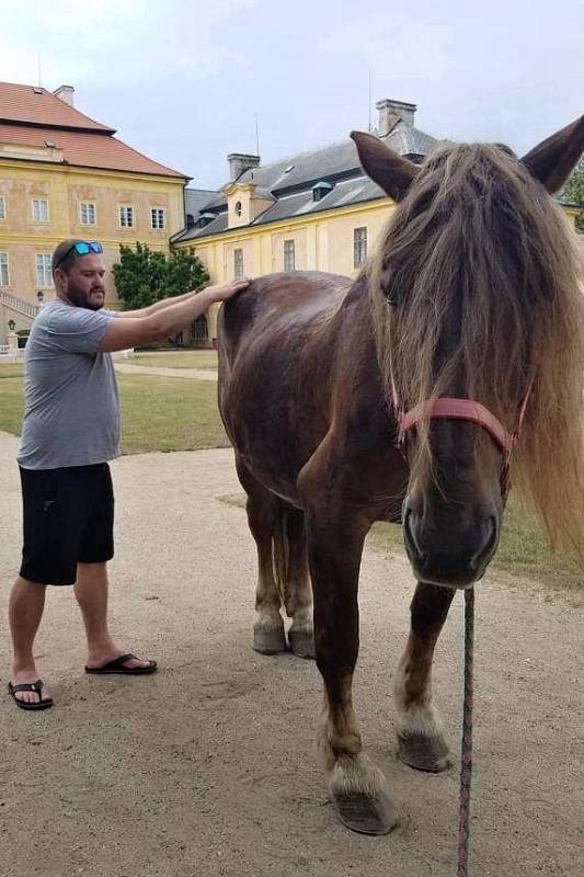 Tomáš Mandát pomáhá také koním