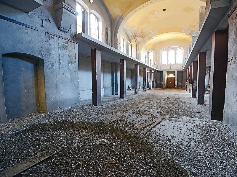 Hromady holubího trusu v žatecké synagoze