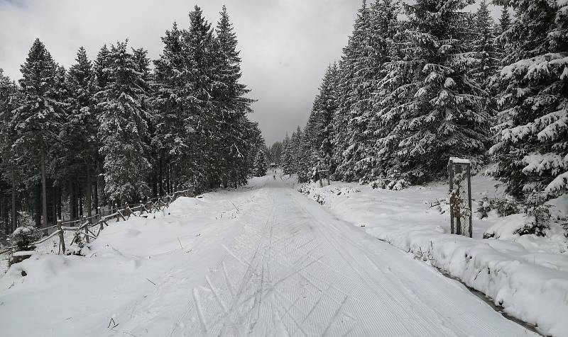 Do Krušných hor se po sněhové nadílce vrátili běžkaři.