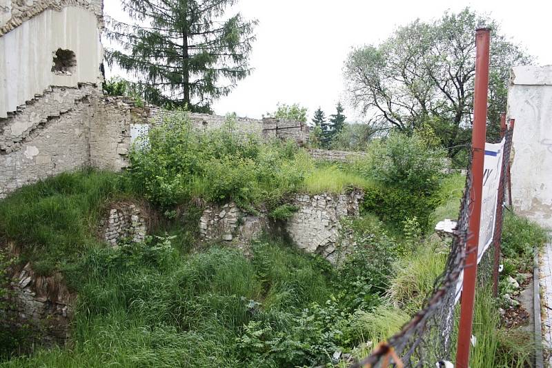 Místo po zbouraném domu v lounské Hilbertově ulici v květnu 2014. Už řadu let zarůstá vegetací