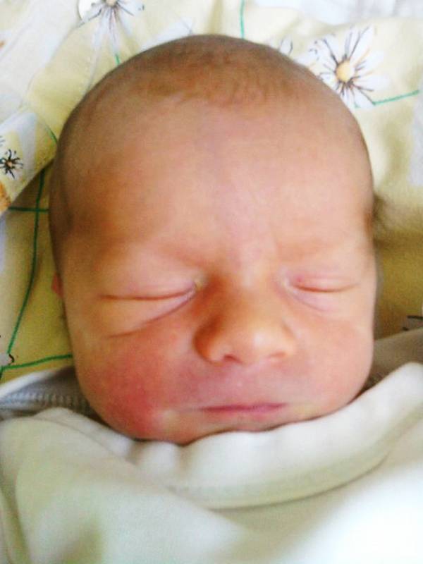 Mamince Lucii Červenákové z Loun se 8. července 2011 v 10.58 hodin narodil synek Miroslav Pavlíček. Vážil 2560 g a měřil 47 cm.