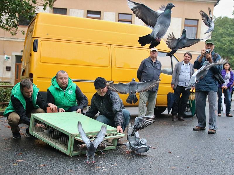 Slavnostní zahájení Krajských dožínek Ústeckého kraje 2016