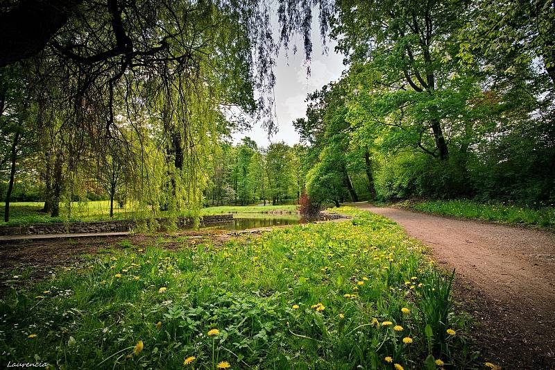 Zámecký park v Krásném Dvoře.