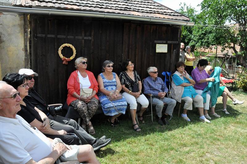 Výstava Dagmar Stříbrné a Václavy Felixové v Galerii U Plazíka