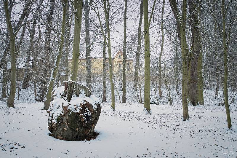 Zasněžený a zamrzlý zámecký park v Krásném Dvoře na Podbořansku.