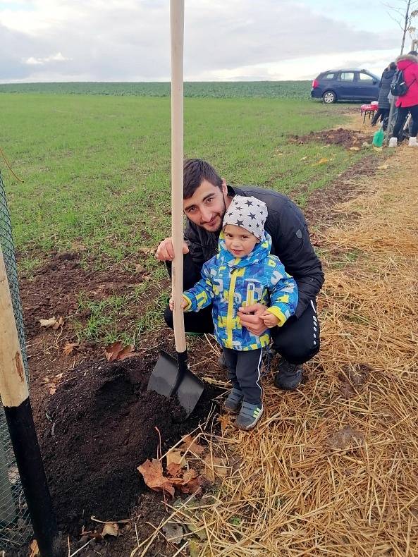 Sázení stromu v Podbořanech.