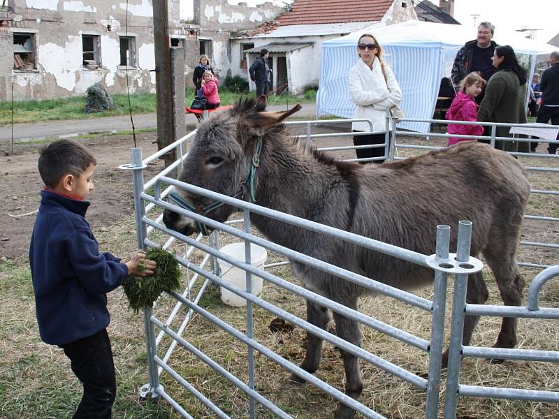 Velikonoce na statku ve Skupicích