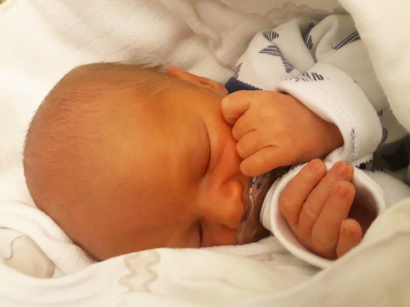 Aleš Ohnout se narodil mamince Radce Waberové z Cítolib 30. září 2018. Po porodu vážil 2,32 kg a měřil 49 cm.