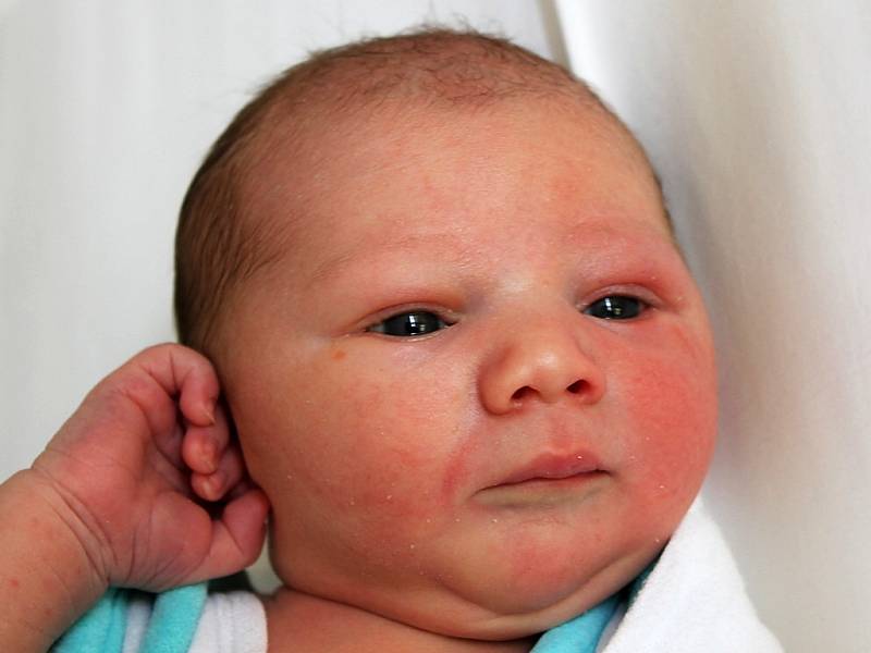 Zlatě Jandové z Loun se 28. 2. 2012 v 9:23 hodin v mostecké nemocnici narodil syn David Janda. Vážil 3,87 kg, měřil 51 centimetrů.
