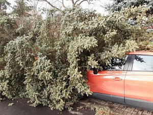 Silný vítr působil ve středu 24. ledna škody v Ústeckém kraji. V Lounech spadl strom na vozovku.