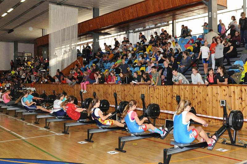 Veřejný halový triatlon v Lounech.