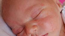 Mamince Anně Reiningerové z Kryr se v chomutovské porodnici 24. června 2014 v 15.59 hodin narodil syn Vojtěch Reininger. Vážil 3,35 kg, měřil 51 cm.