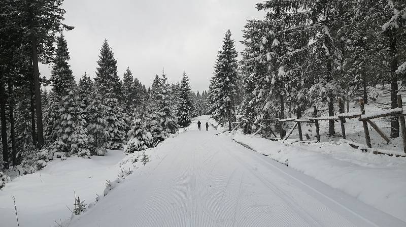 Do Krušných hor se po sněhové nadílce vrátili běžkaři.